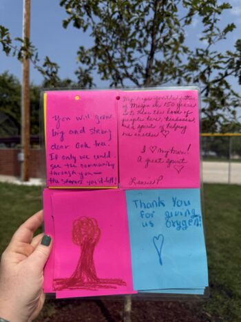 Love Letter to our CommuniTree
